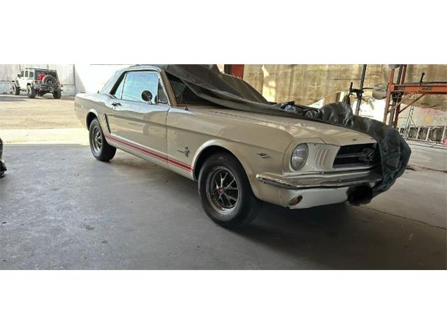 1965 Ford Mustang (CC-1923149) for sale in Cadillac, Michigan