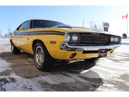 1970 Dodge Challenger R/T (CC-1923286) for sale in Winnipeg, Manitoba