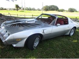 1979 Pontiac Firebird Trans Am (CC-1923687) for sale in Cadillac, Michigan