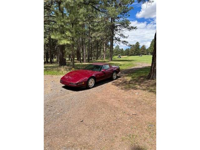 1993 Chevrolet Corvette (CC-1923714) for sale in Cadillac, Michigan