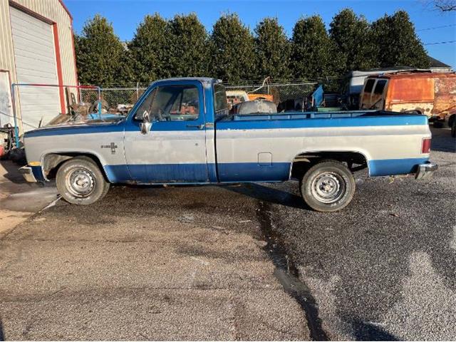 1981 Chevrolet C10 (CC-1923726) for sale in Cadillac, Michigan