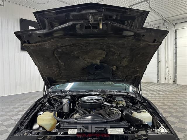 1983 Pontiac Firebird (CC-1920375) for sale in North East, Pennsylvania