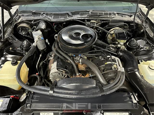 1983 Pontiac Firebird (CC-1920375) for sale in North East, Pennsylvania