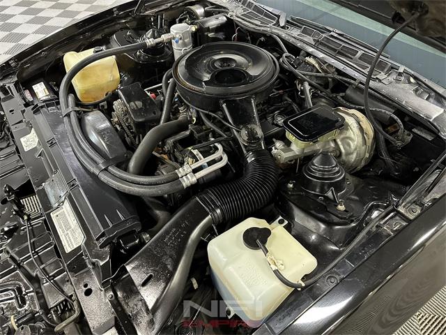 1983 Pontiac Firebird (CC-1920375) for sale in North East, Pennsylvania