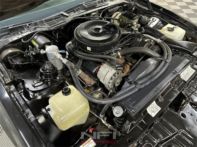 1983 Pontiac Firebird (CC-1920375) for sale in North East, Pennsylvania