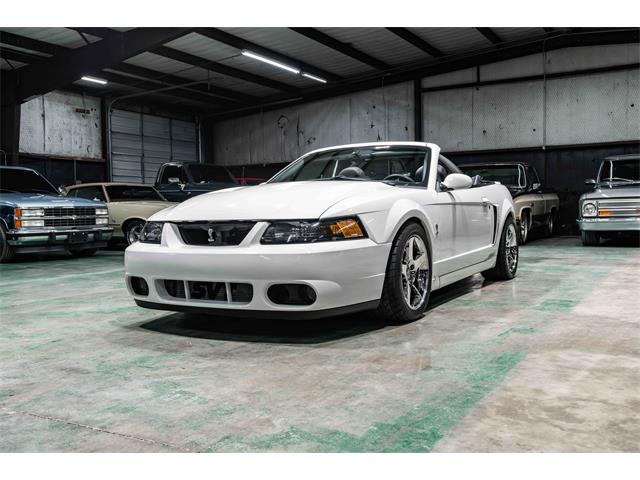 2003 Ford Mustang SVT Cobra (CC-1923859) for sale in Sherman, Texas