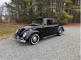 1965 Volkswagen Beetle (CC-1923945) for sale in Greensboro, North Carolina