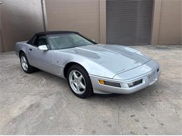 1996 Chevrolet Corvette (CC-1924177) for sale in Orlando, Florida