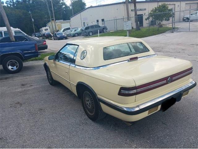 1989 Chrysler LeBaron (CC-1924392) for sale in Cadillac, Michigan