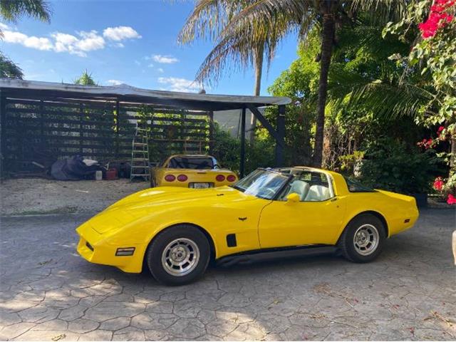 1980 Chevrolet Corvette (CC-1924405) for sale in Cadillac, Michigan