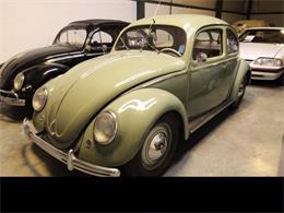 1950 Volkswagen Beetle (CC-1920445) for sale in Christiansburg, Virginia