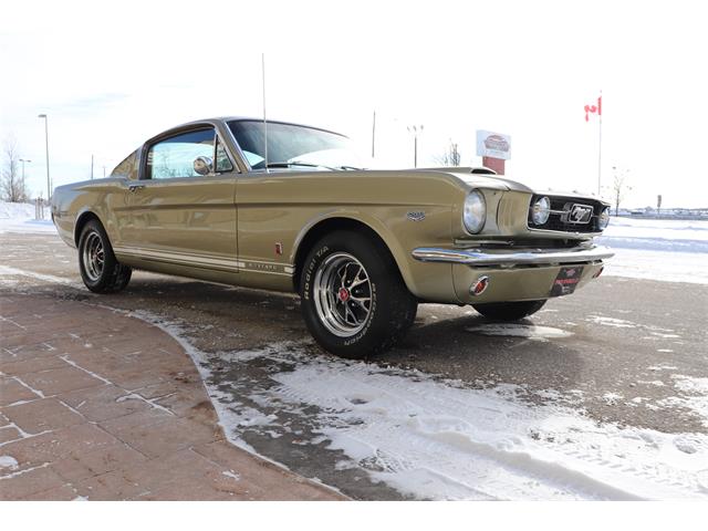 1966 Ford Mustang GT (CC-1924908) for sale in Winnipeg, Manitoba