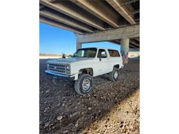 1990 Chevrolet Blazer (CC-1925135) for sale in Cadillac, Michigan