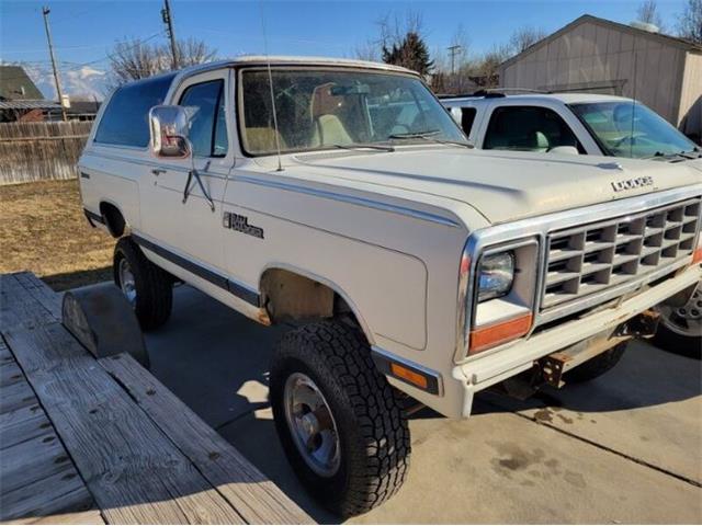 1984 Dodge Ramcharger (CC-1925370) for sale in Cadillac, Michigan