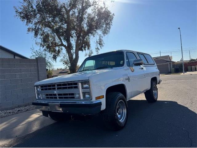 1988 Chevrolet Blazer (CC-1925372) for sale in Cadillac, Michigan