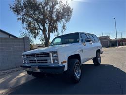 1988 Chevrolet Blazer (CC-1925372) for sale in Cadillac, Michigan