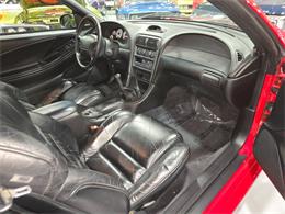 1997 Ford Mustang SVT Cobra (CC-1925788) for sale in Addison, Illinois