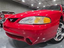 1997 Ford Mustang SVT Cobra (CC-1925788) for sale in Addison, Illinois