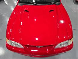 1997 Ford Mustang SVT Cobra (CC-1925788) for sale in Addison, Illinois