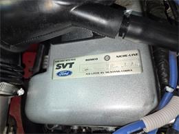 1997 Ford Mustang SVT Cobra (CC-1925788) for sale in Addison, Illinois