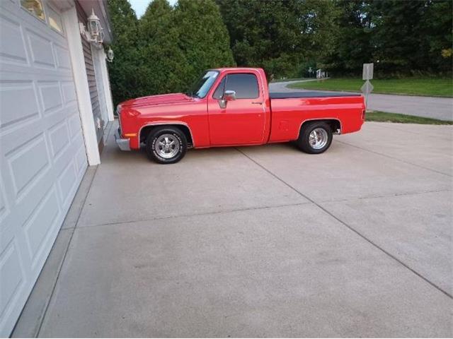 1981 Chevrolet Silverado (CC-1926068) for sale in Cadillac, Michigan