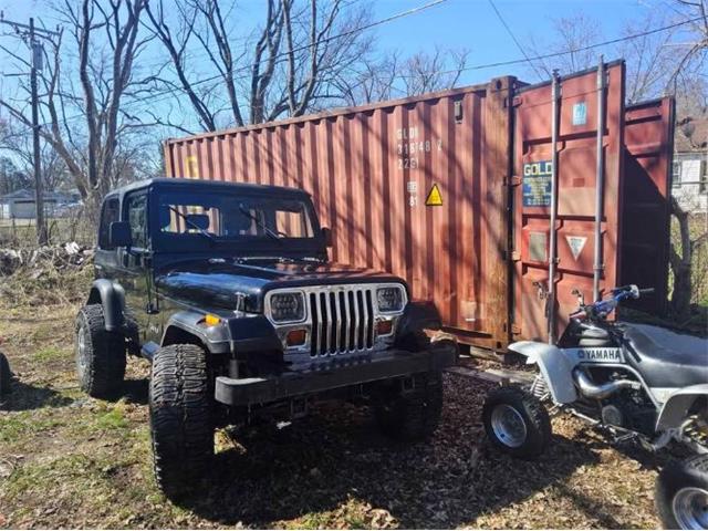 1991 Jeep Wrangler (CC-1926105) for sale in Cadillac, Michigan