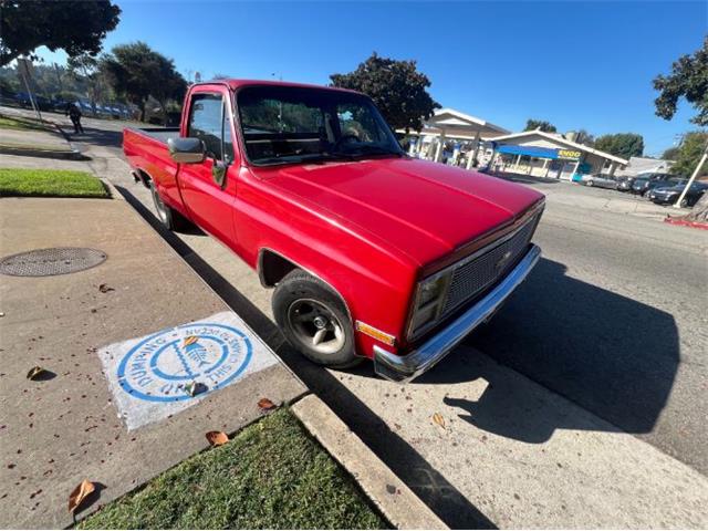 1987 Chevrolet Pickup (CC-1926115) for sale in Cadillac, Michigan