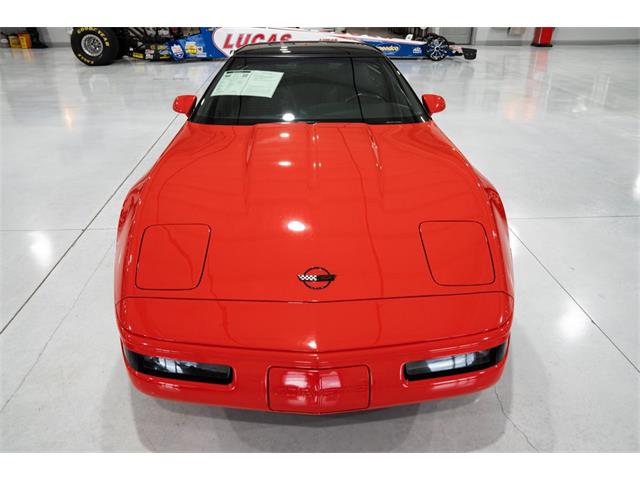 1994 Chevrolet Corvette (CC-1926196) for sale in Ocala, Florida