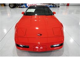 1994 Chevrolet Corvette (CC-1926196) for sale in Ocala, Florida