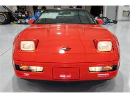 1994 Chevrolet Corvette (CC-1926196) for sale in Ocala, Florida