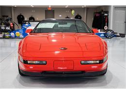 1994 Chevrolet Corvette (CC-1926196) for sale in Ocala, Florida