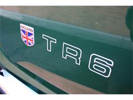 1971 Triumph TR6 (CC-1926272) for sale in Tucson, Arizona