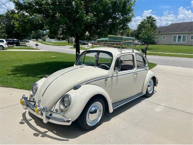 1965 Volkswagen Beetle (CC-1926363) for sale in Cadillac, Michigan