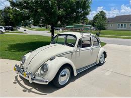 1965 Volkswagen Beetle (CC-1926363) for sale in Cadillac, Michigan