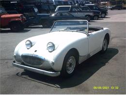 1959 Austin-Healey Sprite (CC-1926384) for sale in Cadillac, Michigan