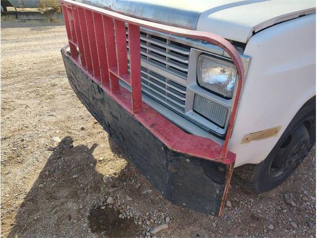 1983 Chevrolet Custom (CC-1926386) for sale in Cadillac, Michigan