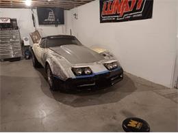 1981 Chevrolet Corvette (CC-1926398) for sale in Cadillac, Michigan