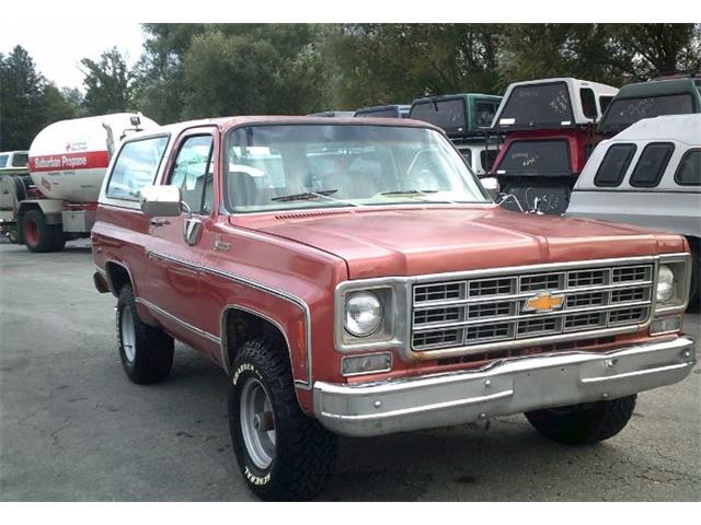 1978 Chevrolet Blazer (CC-1926738) for sale in Cadillac, Michigan