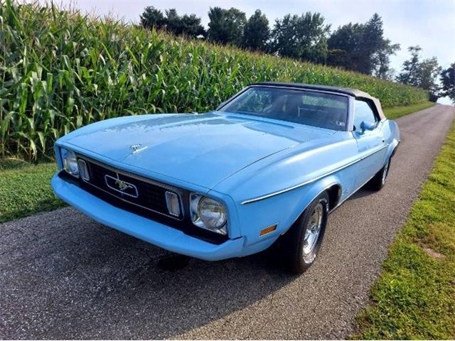 1973 Ford Mustang (CC-1926766) for sale in Cadillac, Michigan