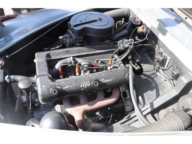 1953 Alfa Romeo 1900 (CC-1926835) for sale in Astoria, New York