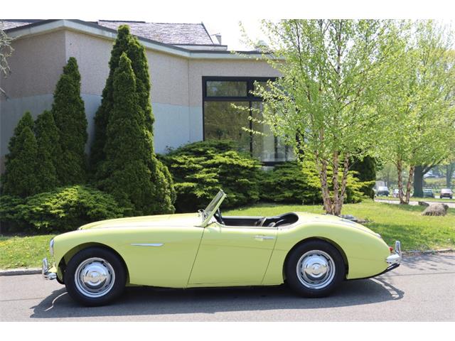 1959 Austin-Healey 100-6 (CC-1926842) for sale in Astoria, New York