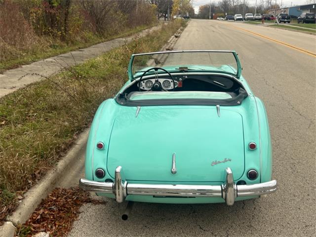 1956 Austin-Healey 100-4 (CC-1926844) for sale in Astoria, New York