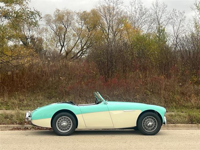 1956 Austin-Healey 100-4 (CC-1926844) for sale in Astoria, New York