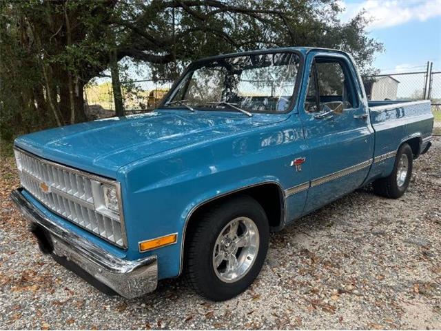 1981 Chevrolet C10 (CC-1927068) for sale in Cadillac, Michigan