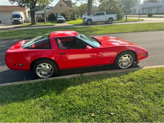 1995 Chevrolet Corvette (CC-1927076) for sale in Cadillac, Michigan