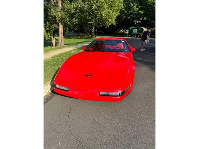 1995 Chevrolet Corvette (CC-1927076) for sale in Cadillac, Michigan