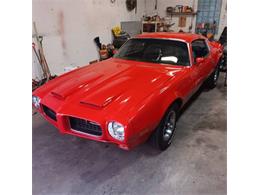 1973 Pontiac Firebird (CC-1927121) for sale in Cadillac, Michigan