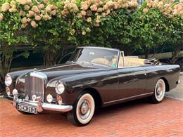 1960 Bentley Continental (CC-1927156) for sale in Astoria, New York