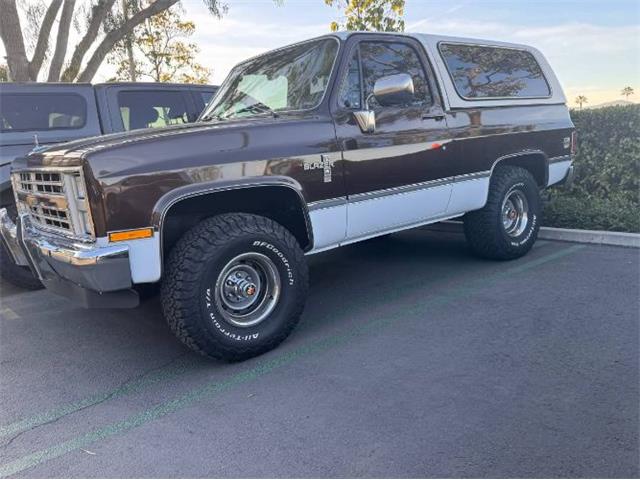 1984 Chevrolet Blazer (CC-1927538) for sale in Cadillac, Michigan