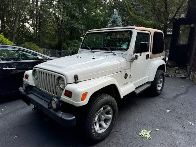 1997 Jeep Wrangler (CC-1927553) for sale in Cadillac, Michigan